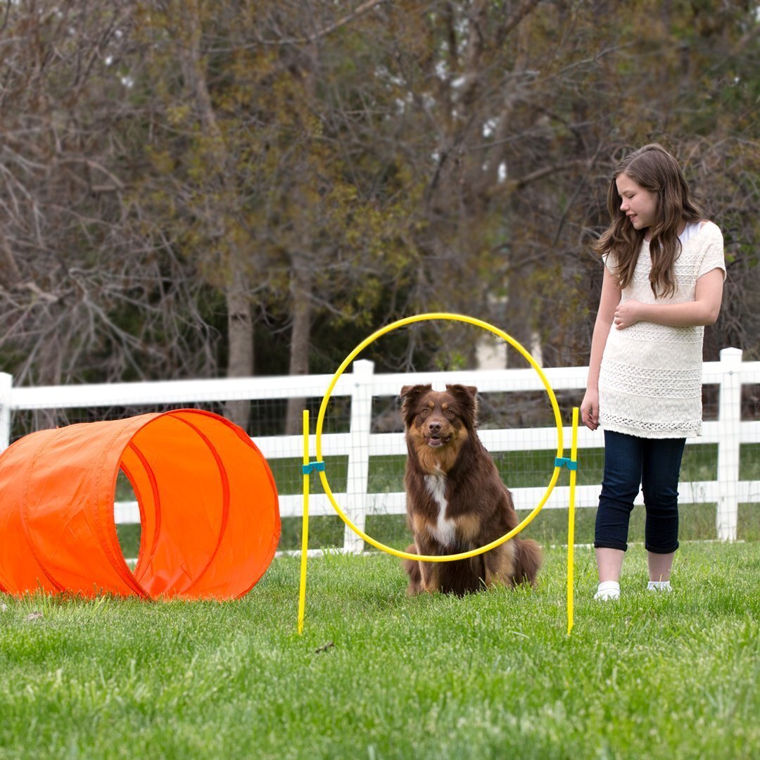 Outward Hound ZipZoom Agility Kit Outdoor - Image 2