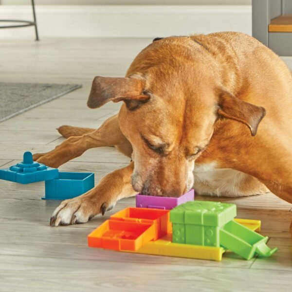 Brightkins Surprise Party! Dog Treat & Food Interactive Puzzle Toy - Image 3
