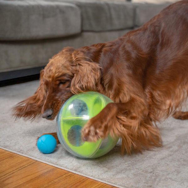 Nina Ottosson A-Maze Ball Dog Puzzle Treat Ball - Dog Enrichment Toy - Image 4