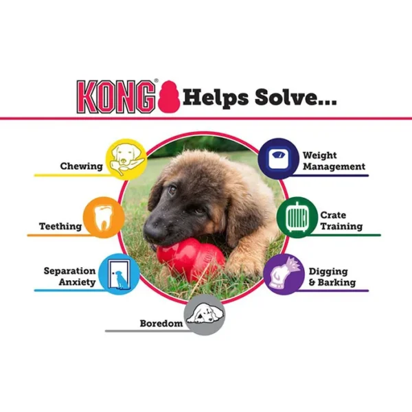 KONG Classic – The Original Enrichment Toy - Image 2