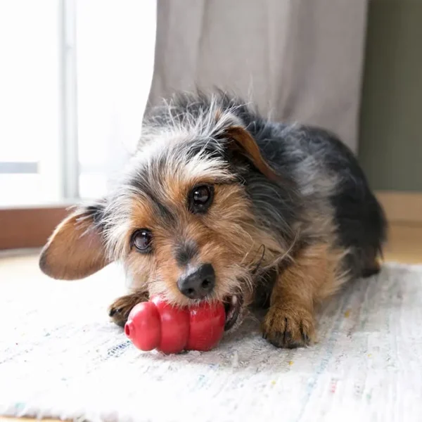KONG Classic – The Original Enrichment Toy - Image 4
