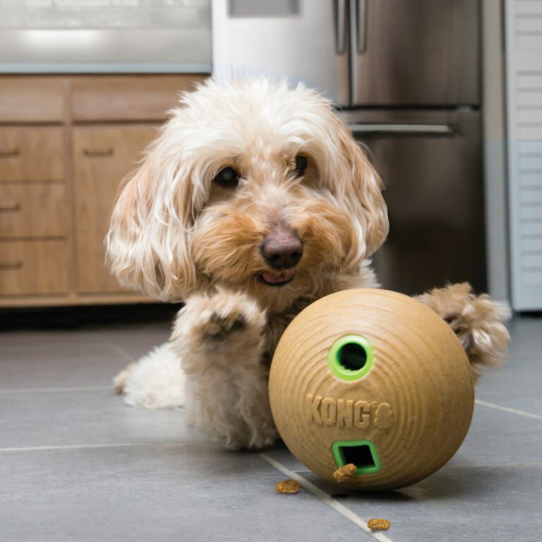 Must-Have Puzzle Toys for Adult Dogs