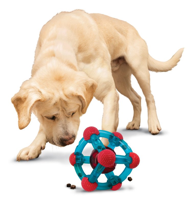 KONG Rewards Tinker Treat Dispensing Dog Toy for Medium-Large Dogs - Image 5