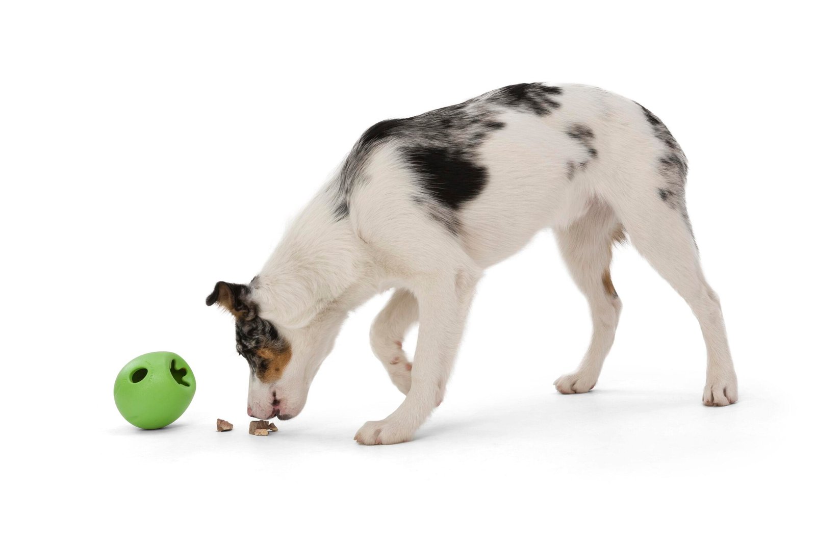 West Paw Rumbl Treat Dispensing Dog Toy - Guaranteed Tough - Image 7