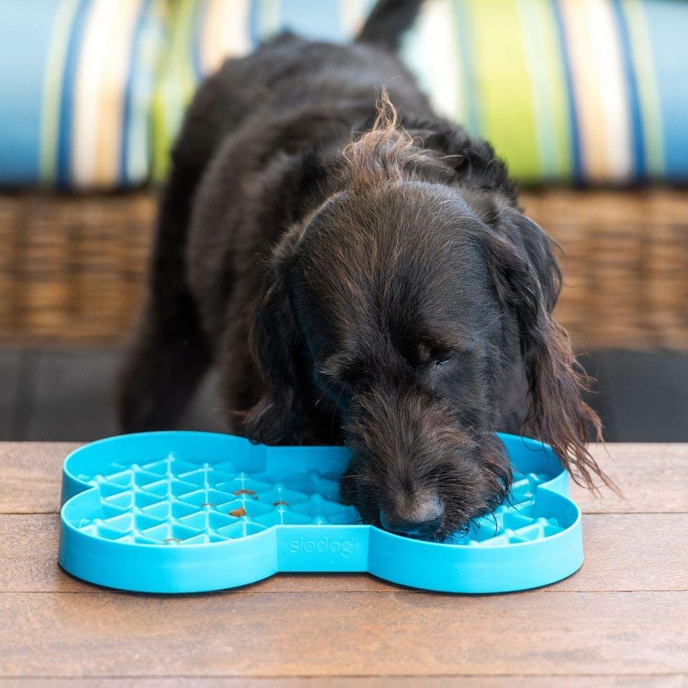 SloDog by Lickimat - Bone-Shaped Slow Food Bowl for Medium & Large Dogs - Image 7