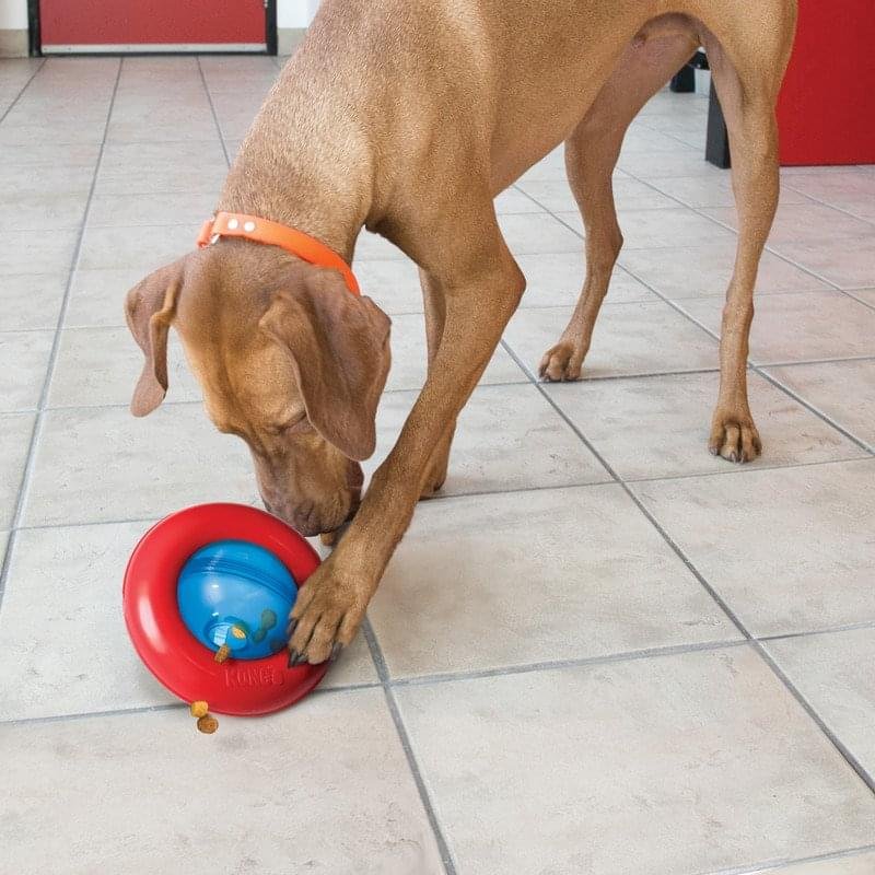 KONG Gyro Treat Dispensing Toy for Dogs - Image 4